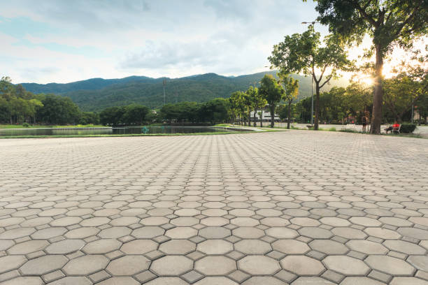 Best Residential Driveway Paver Services  in Lacy Lakeview, TX